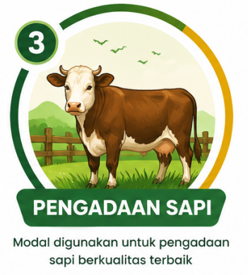 Pengadaan Sapi