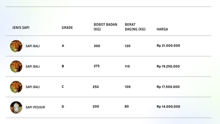Penjualan Sapi